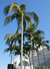 Palm and Convention Center.